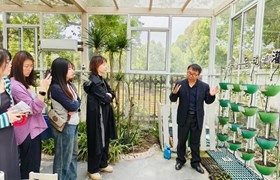 春风遇暖，携爱相伴——记新馨花园幼儿园家委会活动
